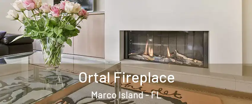  Ortal Fireplace Marco Island - FL