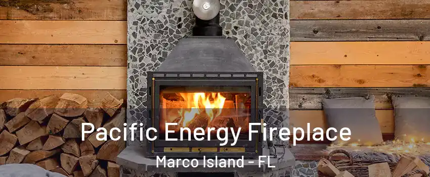  Pacific Energy Fireplace Marco Island - FL
